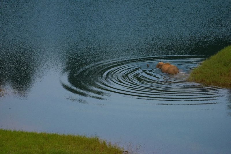 Day Trips to Nearby Waterfalls